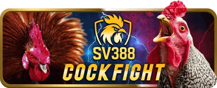 Chương trình VIP vwin88